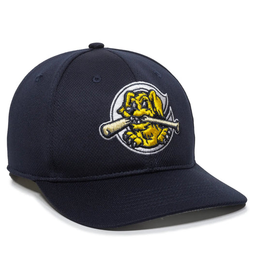 MIN-350-Charleston Riverdogs Navy 2CRH