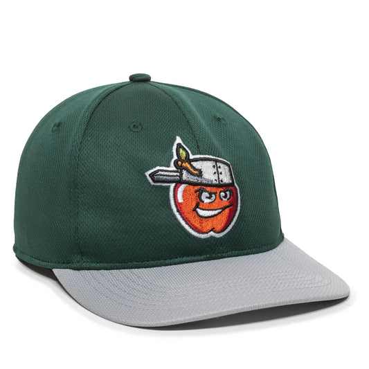 MIN-350-Fort Wayne Tincaps Dark Green/Light Grey 2FWH