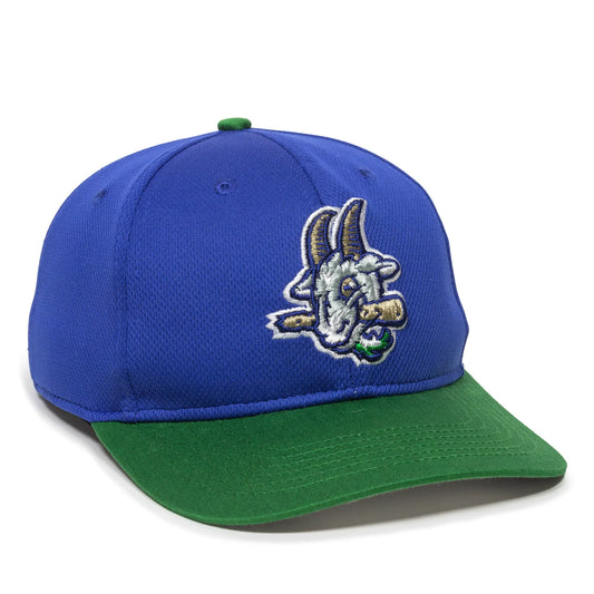 MIN-350-Hartford Yard Goats Royal/Kelly 2HY